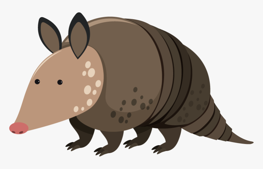 Armadillo Clipart, HD Png Download, Free Download
