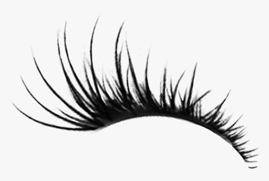 Eyelash Eyelashes Eyelashsticker Makeup Beauty Transparent Eyelashes Png Png Download Kindpng - eye liner transparent background roblox