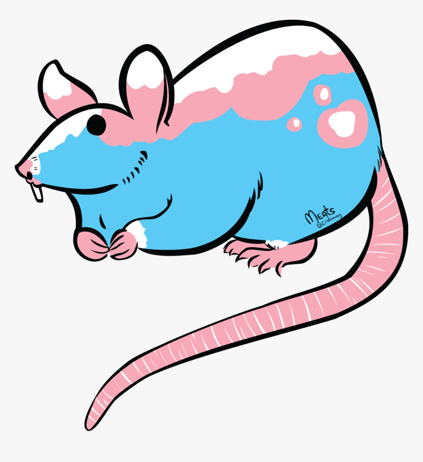 Trans Rat, HD Png Download, Free Download