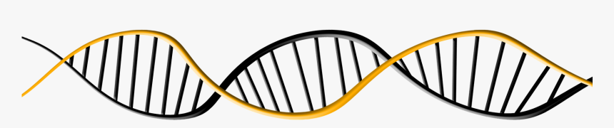 Dna Biology Clipart Png, Transparent Png, Free Download