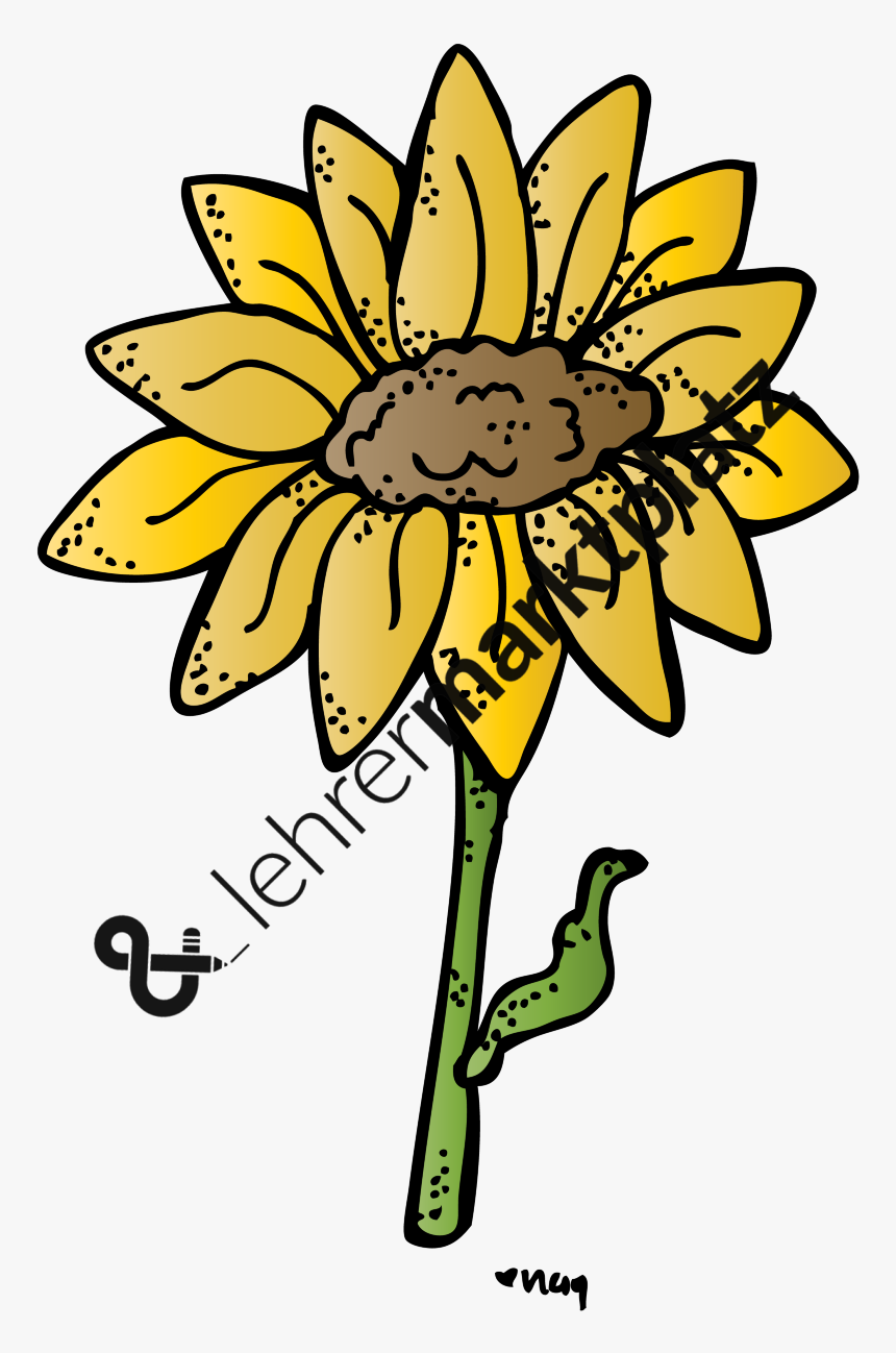 Biology Clipart , Png Download - Sunflower, Transparent Png, Free Download