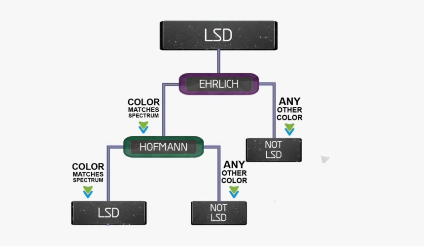 Ehrlich Test Diagram Bunk Police, HD Png Download, Free Download