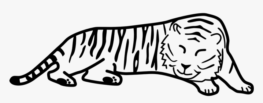 Tiger, Sleeping, Black And White, Stripes, Taking Rest, HD Png Download, Free Download