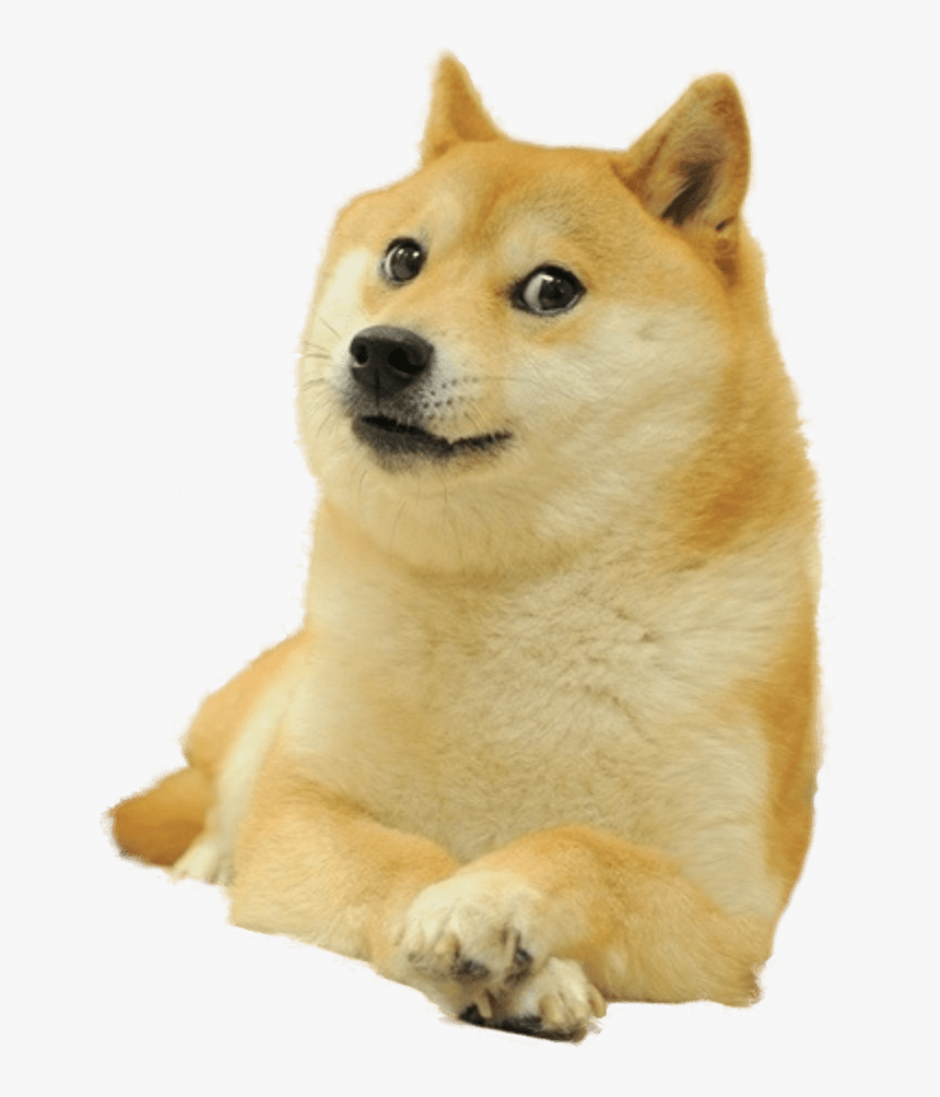 Doge Full Smiling, HD Png Download - kindpng