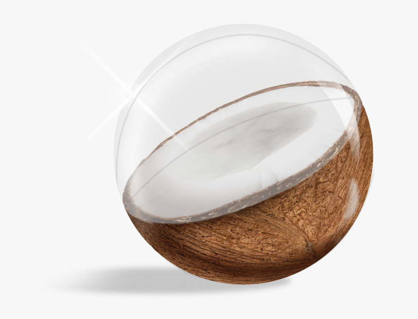 Beachball Png, Transparent Png, Free Download