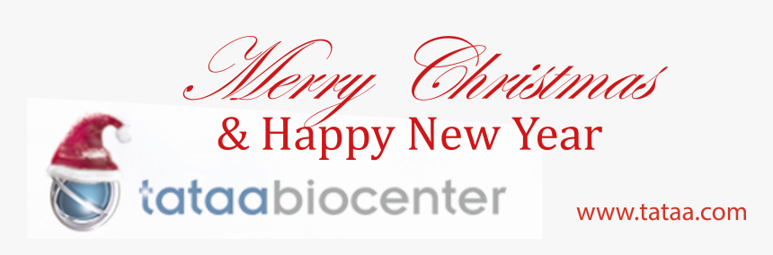 Merry Christmas And Happy New Year Png, Transparent Png, Free Download