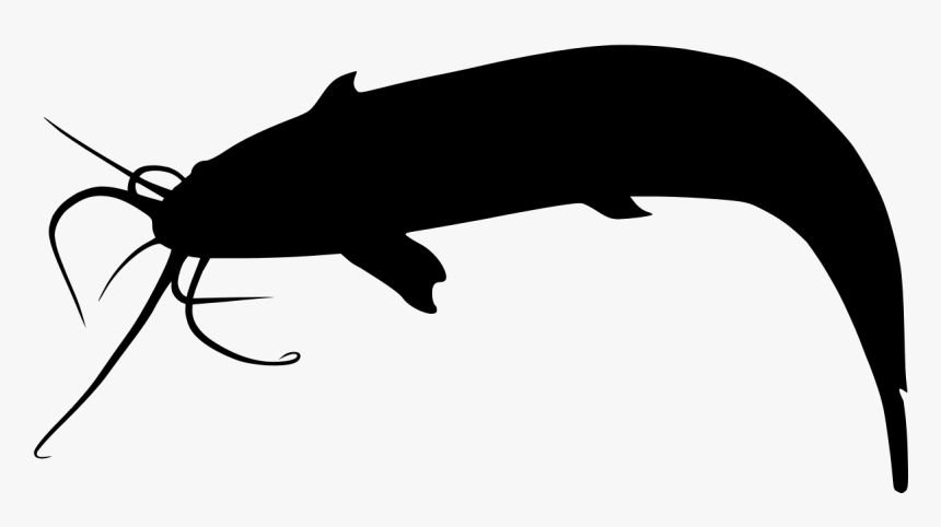 Catfish Png, Transparent Png, Free Download