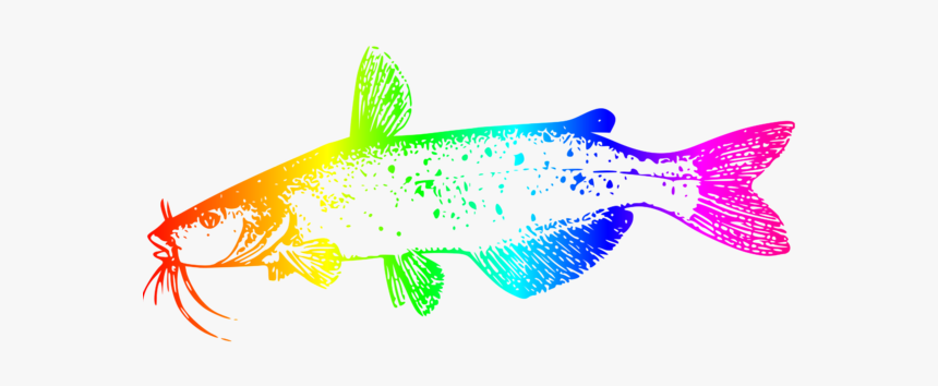 Catfish Png, Transparent Png, Free Download