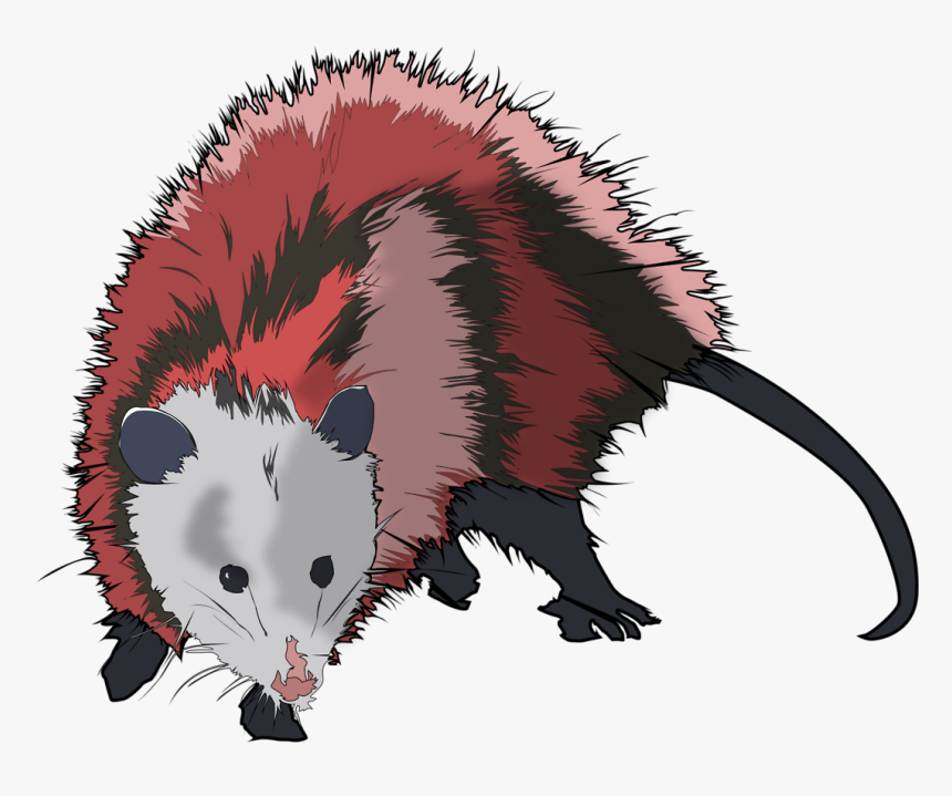 My Artwork Communist Virginian Picture Transparent - Possum Vector Png, Png Download, Free Download