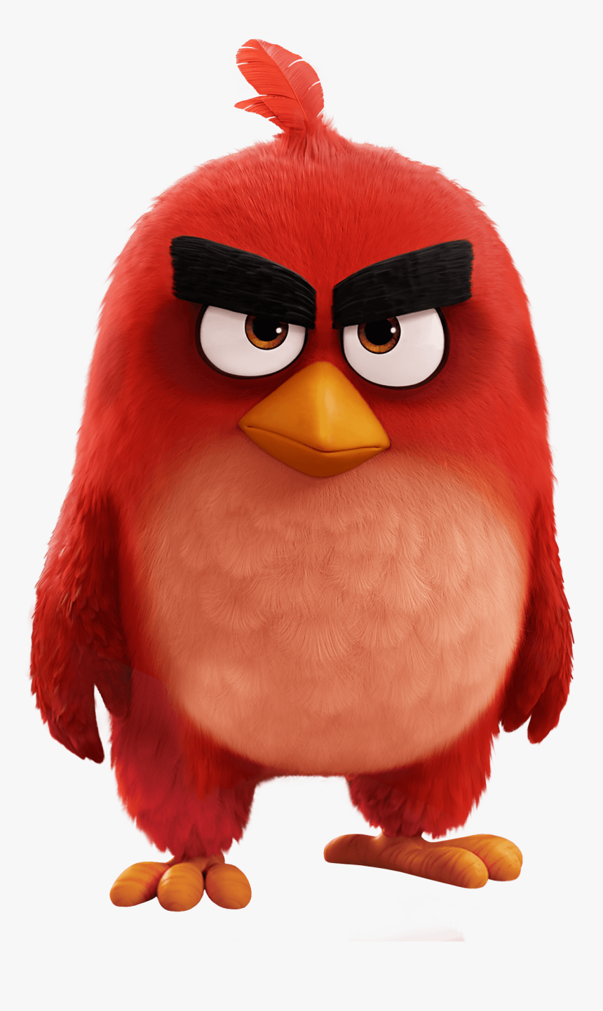 Angry Birds Movie Red Bird Red From Angry Birds, HD Png Download