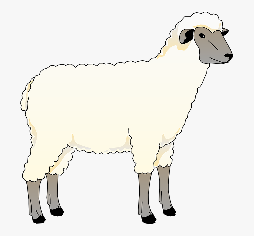 Wooly Sheep Clip Art - Animated Picture Of Sheep, HD Png Download, Free Download