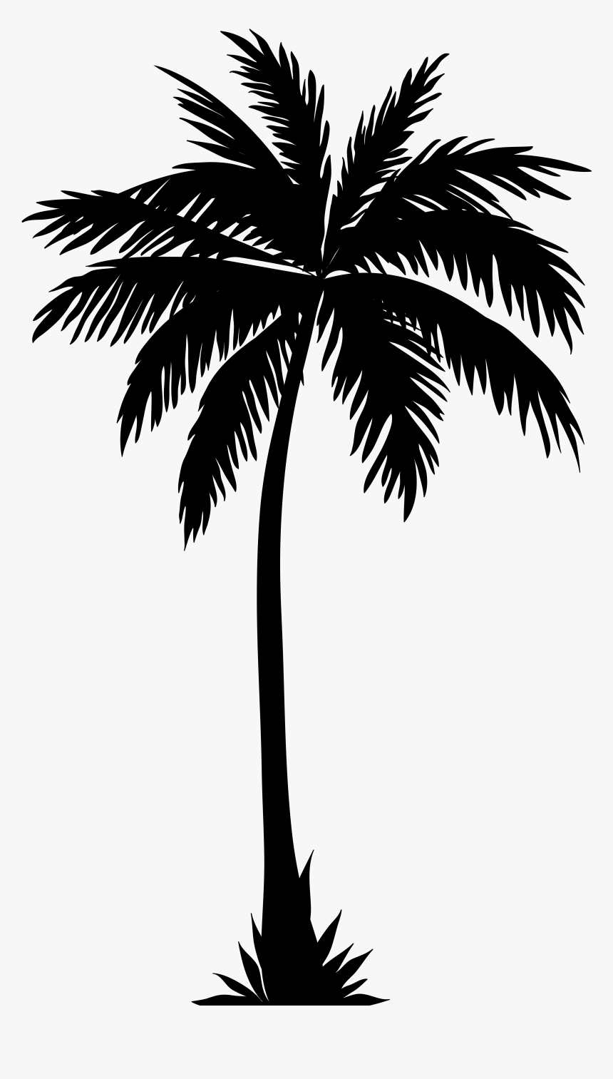Coconut Tree Png White - Palm Tree Silhouette, Transparent Png - kindpng