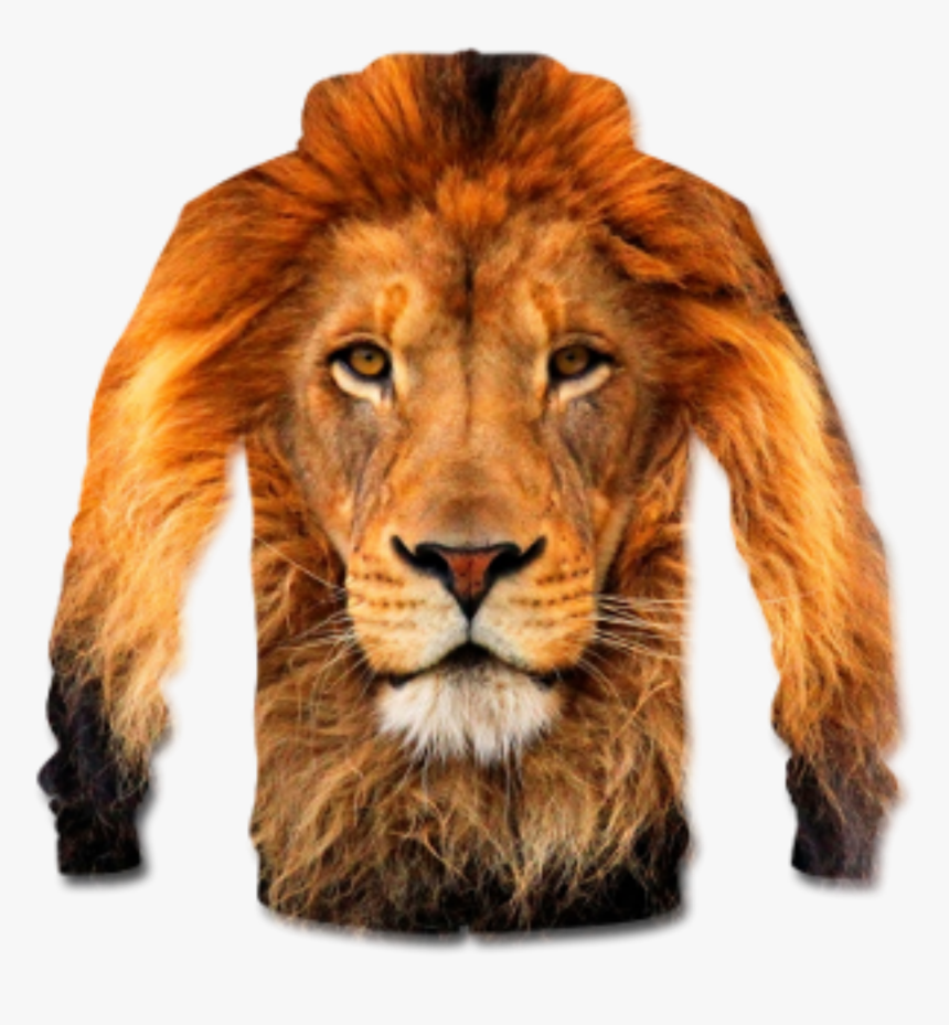 Lion, Png V - Wildlife Heritage Foundation, Transparent Png, Free Download