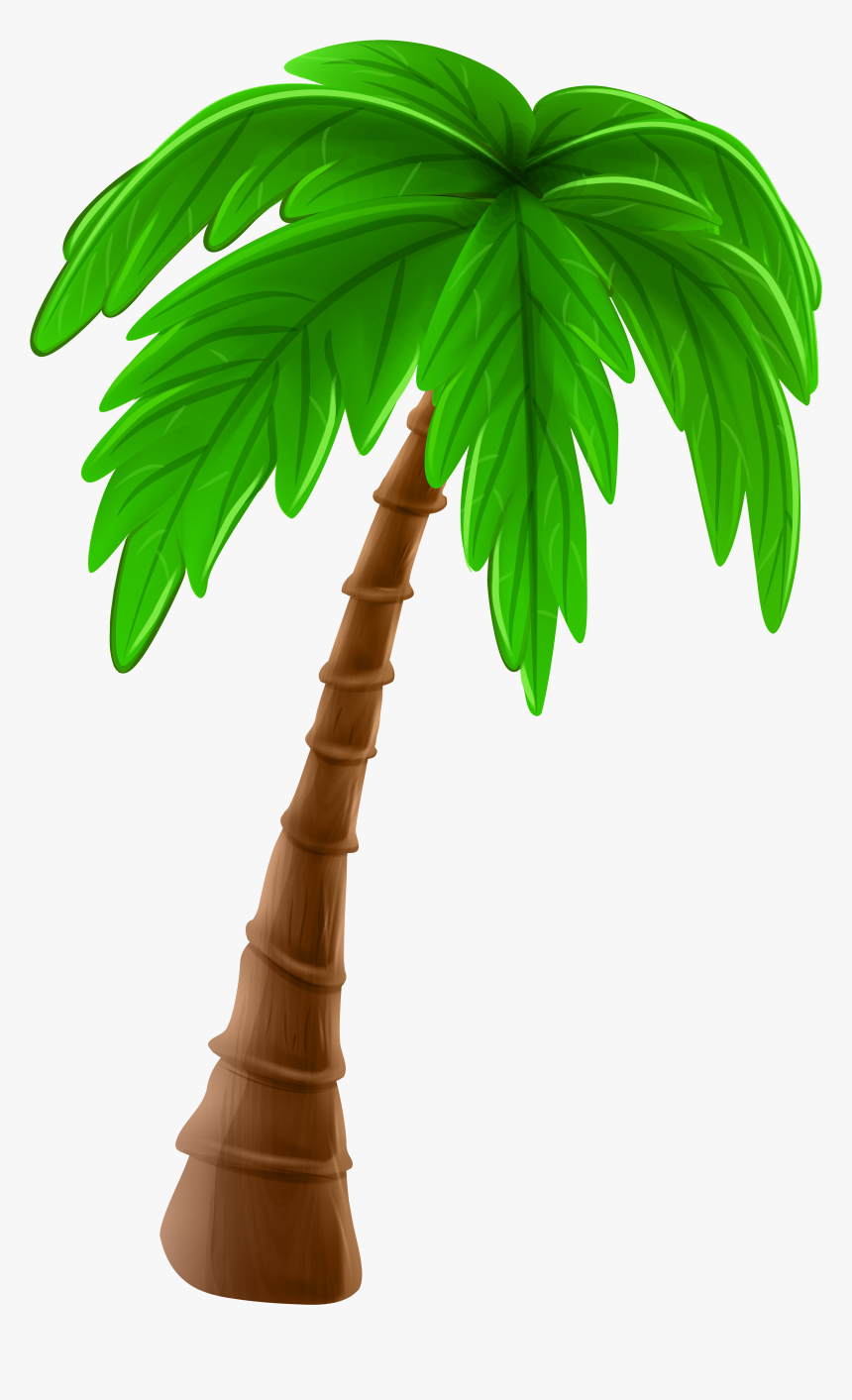 Free To Use & Public Domain Palm Tree Clip Art - Transparent Background ...
