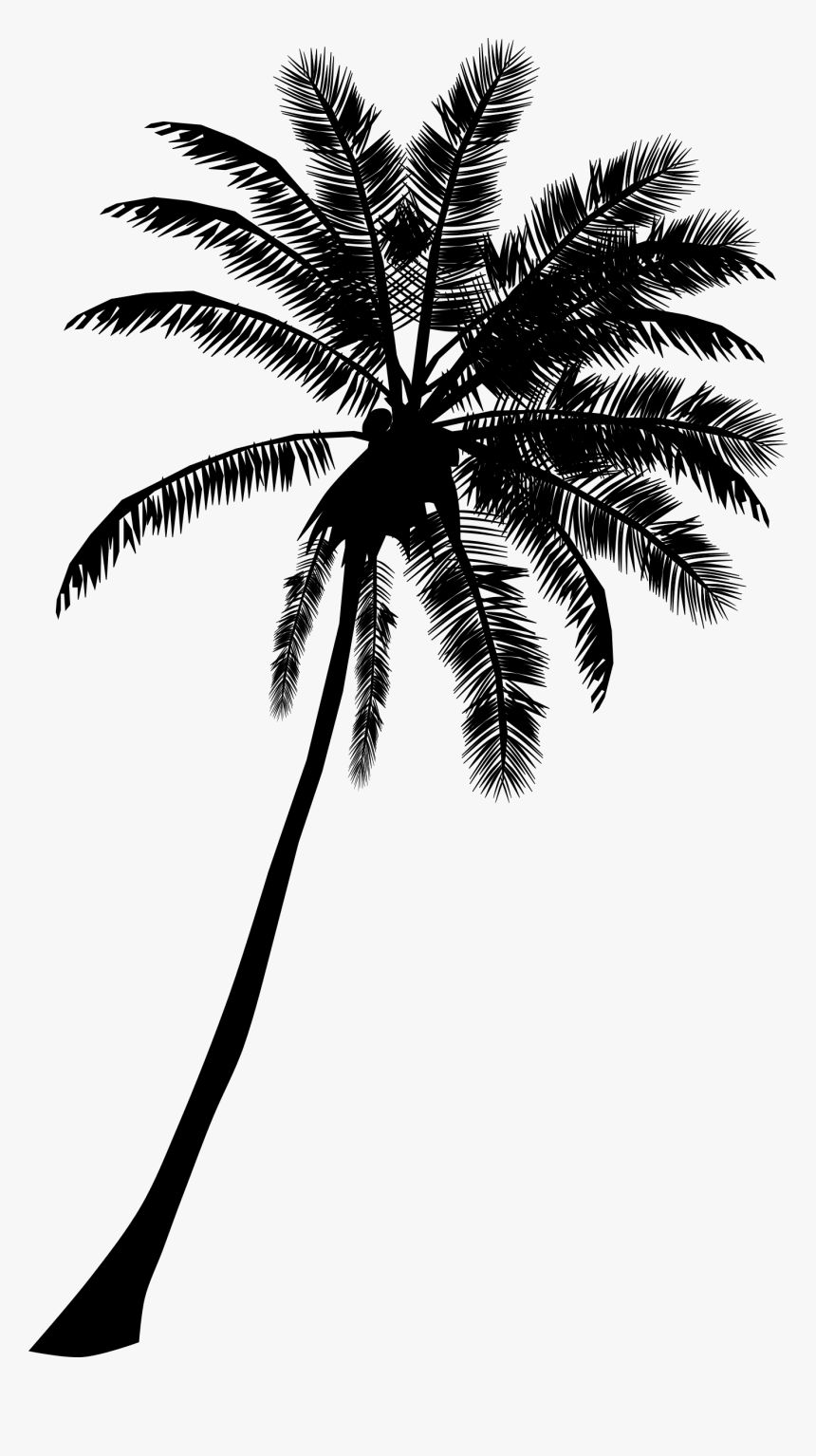 Clipart Free Library Palm Tree Black And White - Palm Tree Silhouette ...