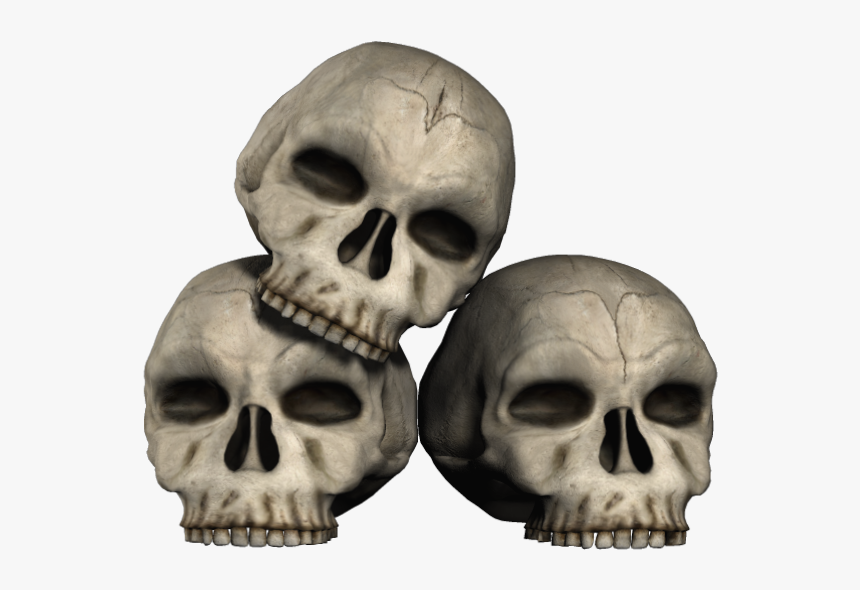 Skeleton Head Png - Halloween Skulls Png, Transparent Png, Free Download