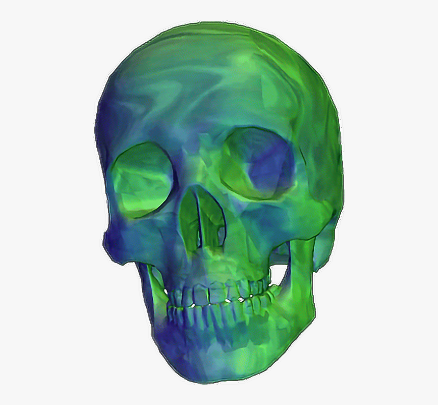 Transparent Skull Png Tumblr - Skull Gif Transparent Background, Png Download, Free Download