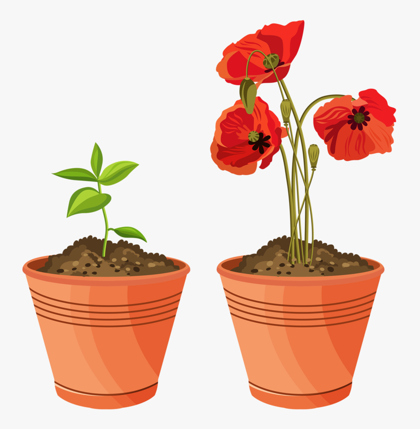 3 House Clipart, Potted Plants, Flower Pots, Clip Art, - Plant Pot Clip Art, HD Png Download, Free Download