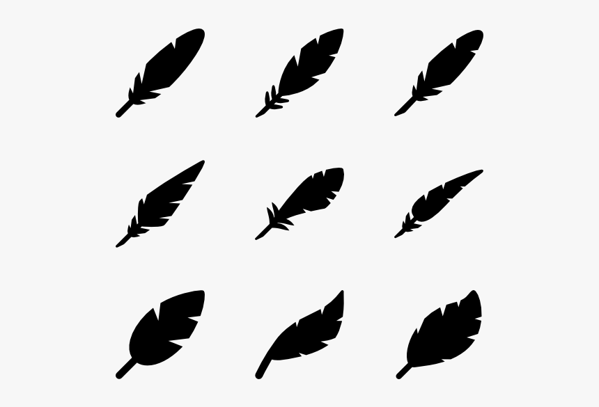 Filled Feathers - Feather Vector, HD Png Download, Free Download