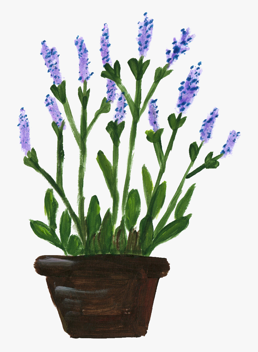 Flower Pots With Flowers Png Potted Flower Png - Lavandula Lanata, Transparent Png, Free Download