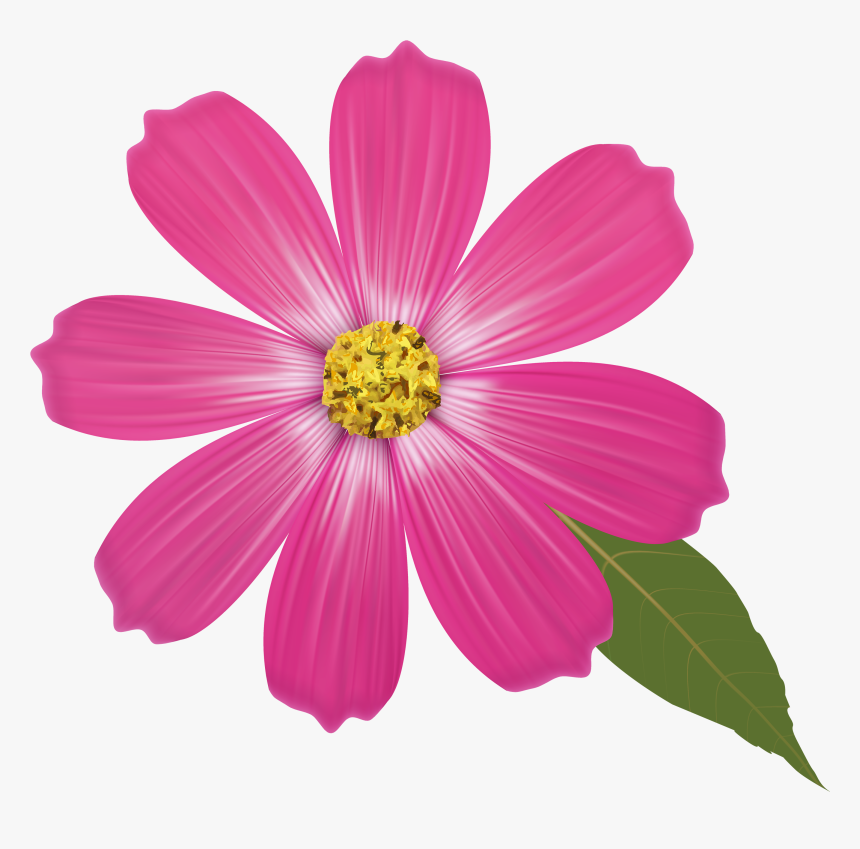 Pink Flower Png Clipart, Transparent Png, Free Download