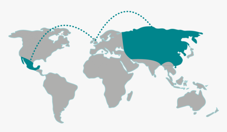 World Map In One Color, HD Png Download, Free Download