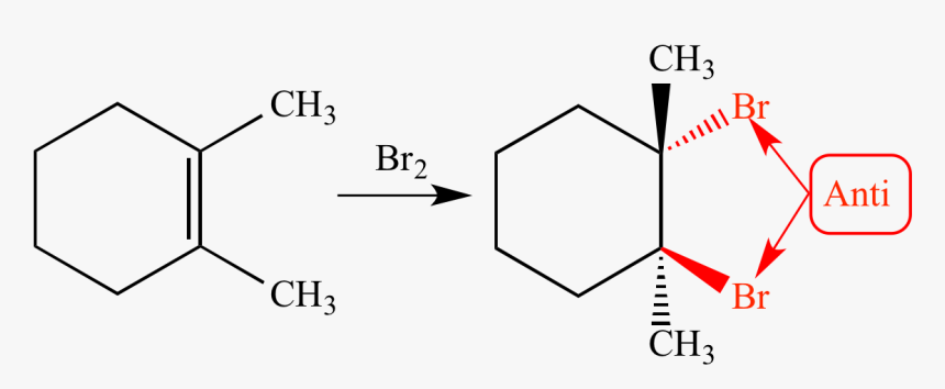 "
 Src="anti Addition01 - 1 2 Dimethylcyclohexene Br2, HD Png Download, Free Download