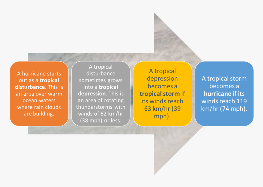 How Does A Storm Become A Hurricane - Late Preterm Infant, HD Png Download, Free Download