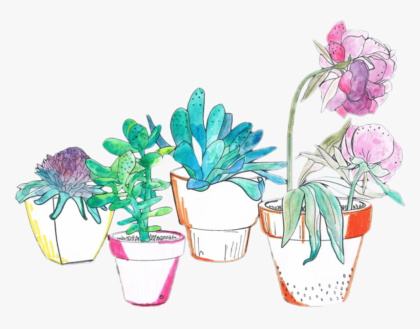 Art Watercolor Plants Cactus Succulent Flower Aesthetic, HD Png Download, Free Download