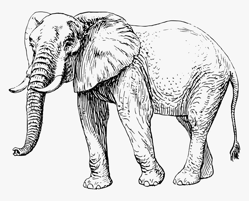 Elephant, HD Png Download, Free Download