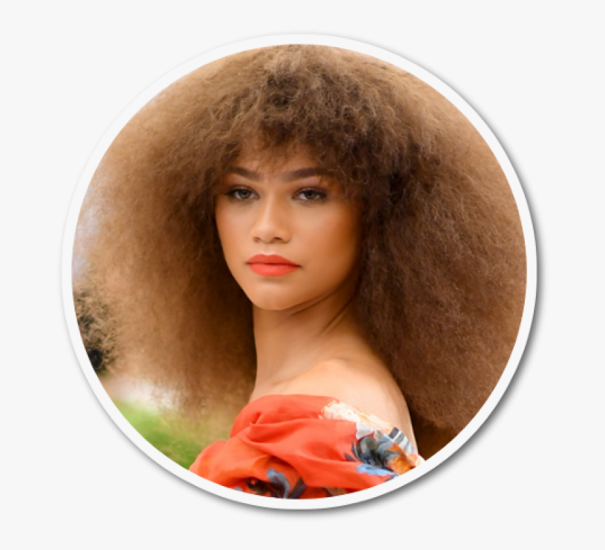 Zendaya Png, Transparent Png, Free Download