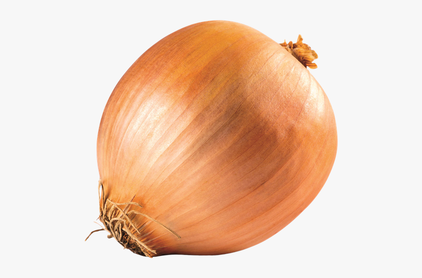 Yellow Onion, HD Png Download - kindpng