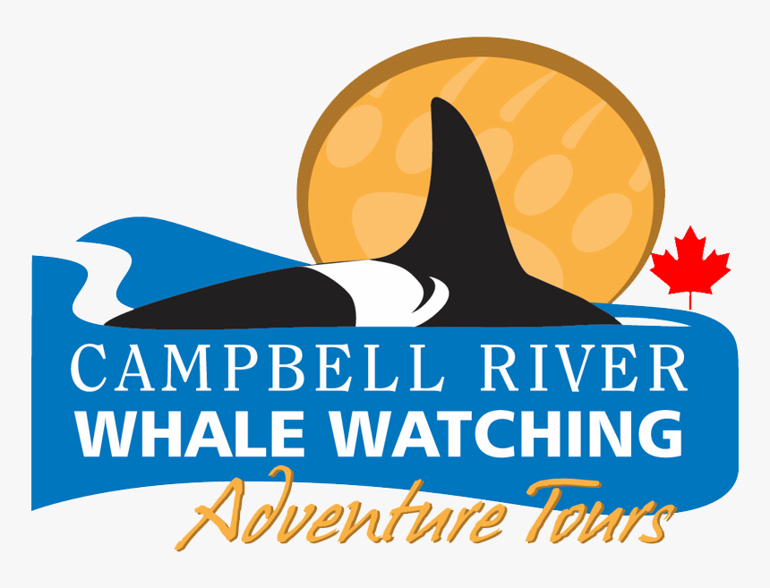 Campbell River Whale Watching And Adventure Tours , - Campbell River Whale Watching, HD Png Download, Free Download