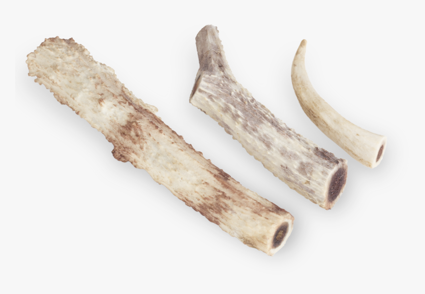 Deer Antlers , Png Download - Driftwood, Transparent Png, Free Download