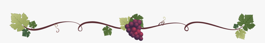 Grape, HD Png Download, Free Download