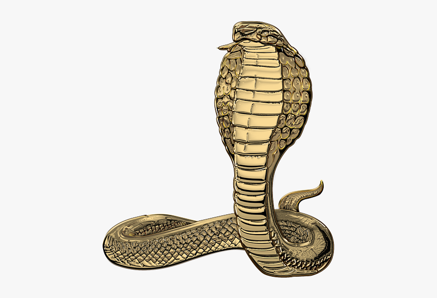 King Cobra Hooded Cobra, HD Png Download, Free Download