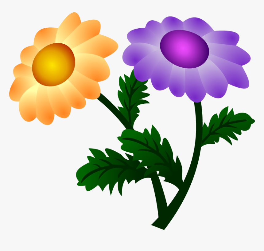 Vector Chrysanthemum - Chrysanthemum, HD Png Download, Free Download