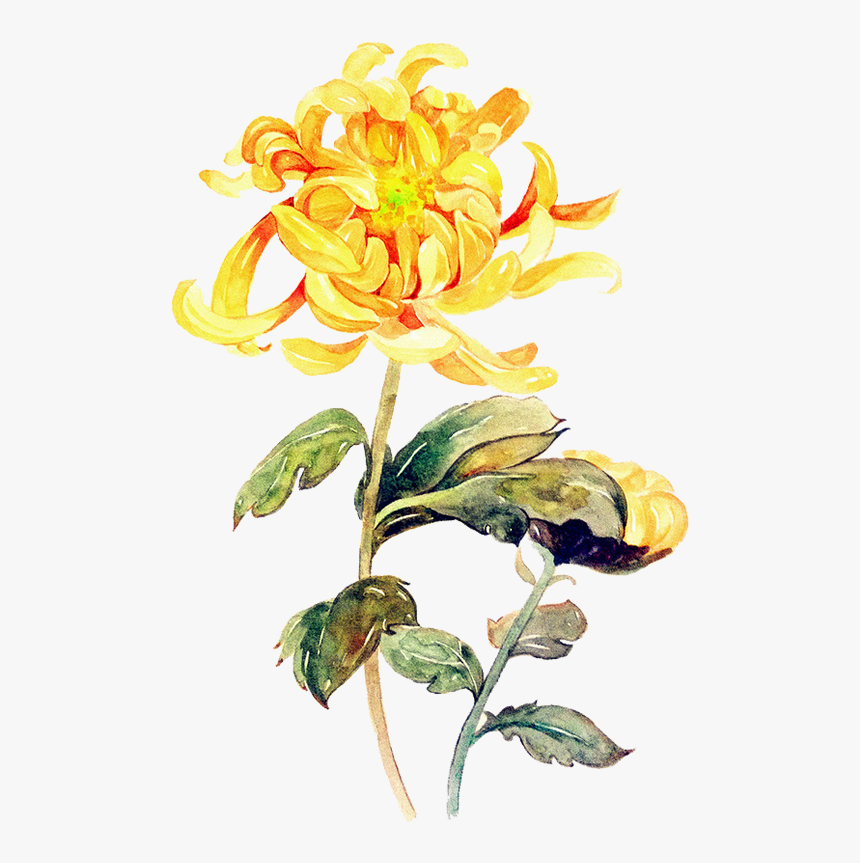 Yellow Flower Painting Png, Transparent Png, Free Download