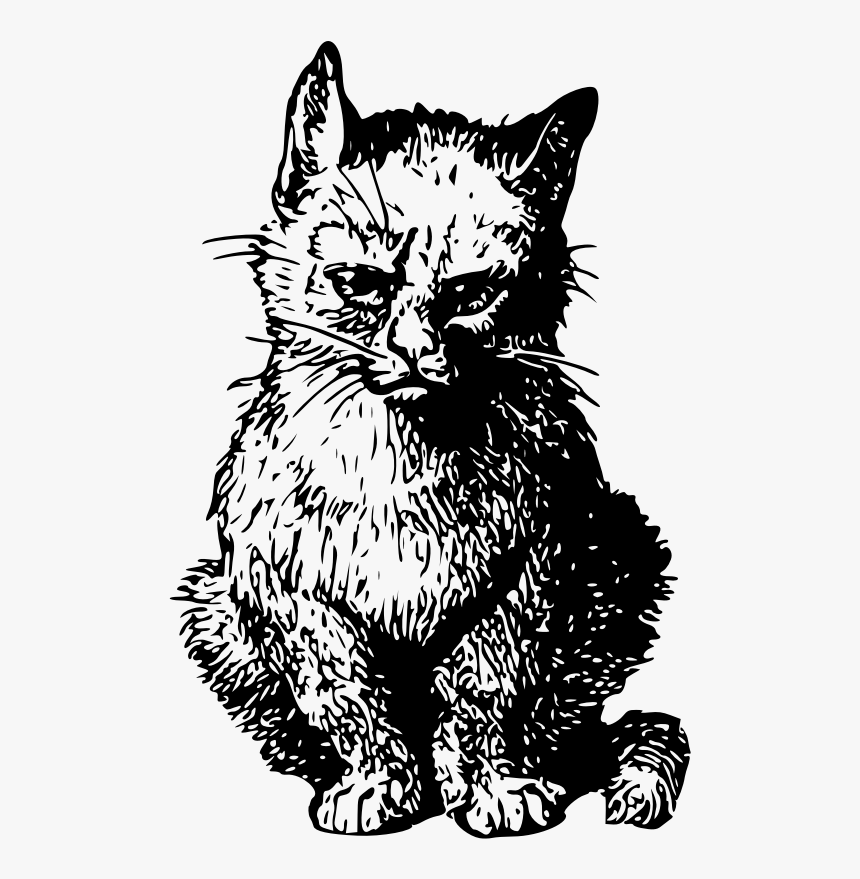 Angry Cat - Vintage Cat Style, HD Png Download, Free Download