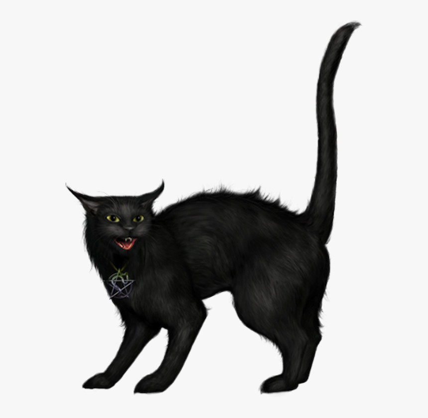 Creepy Black Cat Png Picture - Creepy Black Cat Png, Transparent Png, Free Download