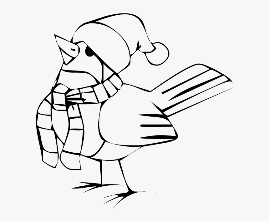 Christmas Bird Coloring Pages, HD Png Download, Free Download