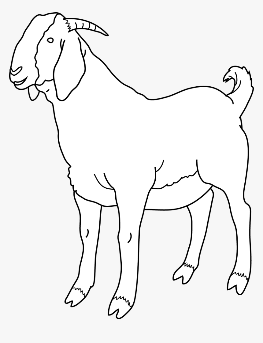 Collection Of Black - Goat In Black And White, HD Png Download, Free Download