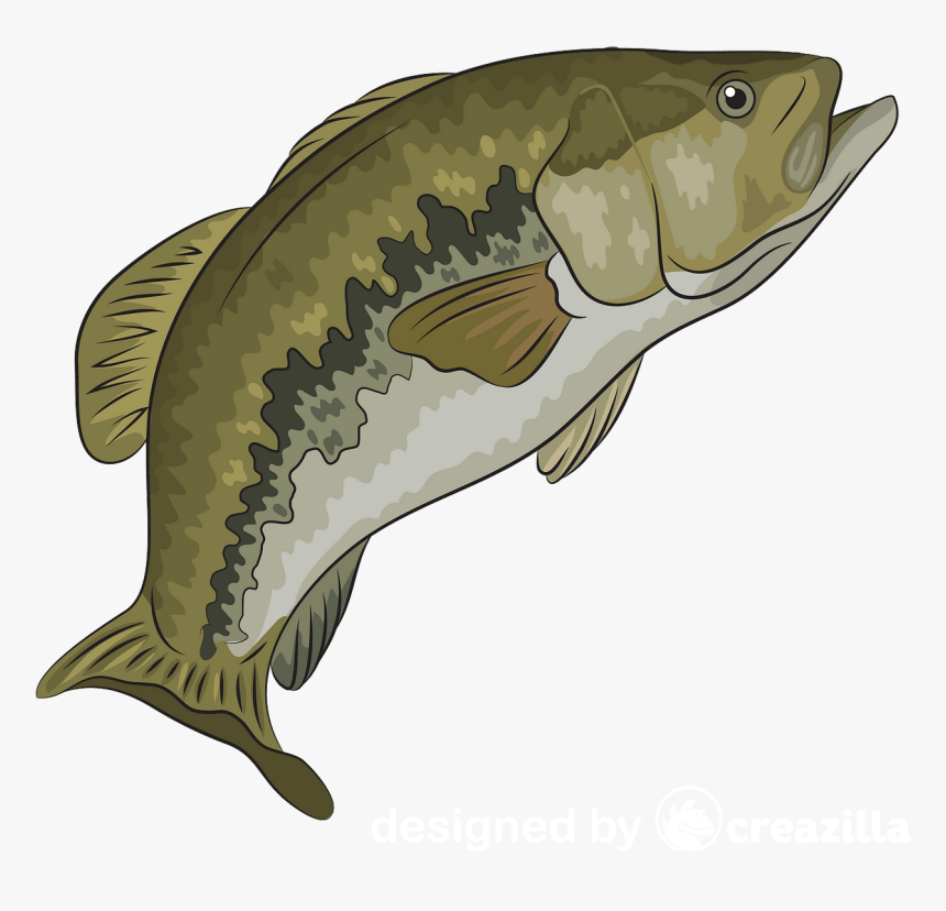 Carp, HD Png Download, Free Download