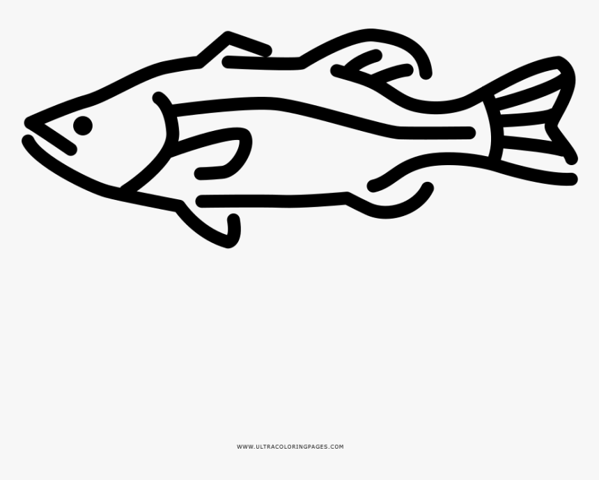 Largemouth Bass Coloring Page - Line Art, HD Png Download, Free Download