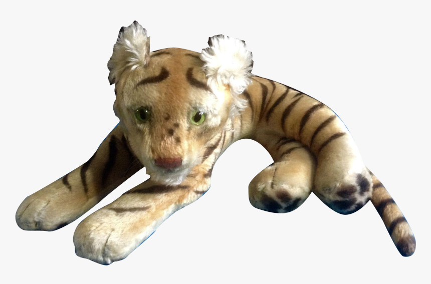 Transparent Tiger Eyes Png - Giraffe, Png Download, Free Download