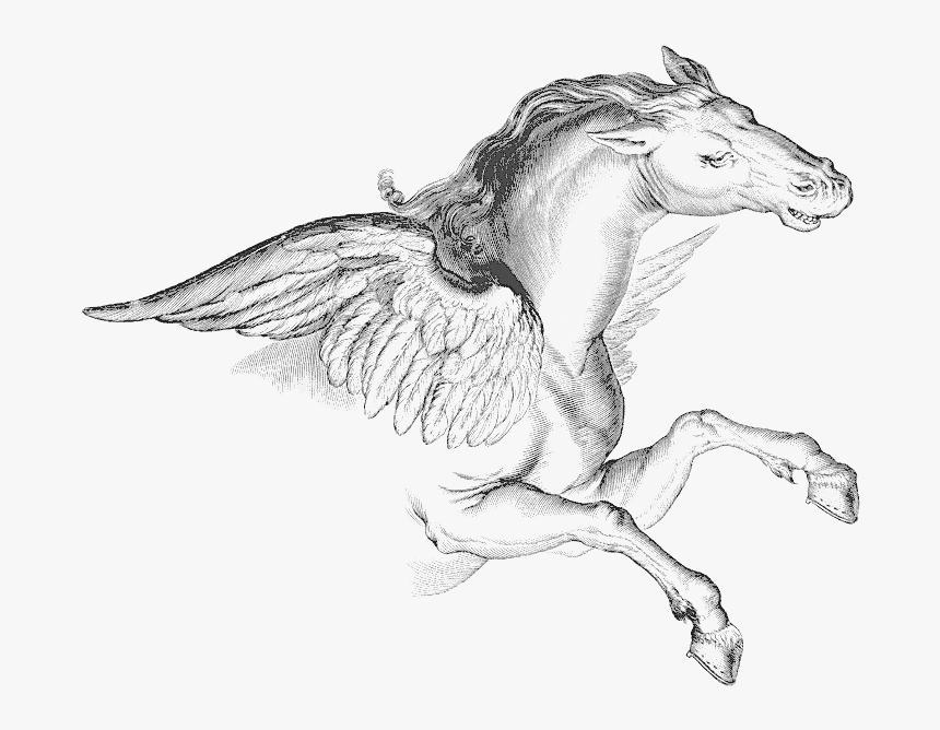 Pegasus Transparent Png - Pegasus Transparent, Png Download, Free Download