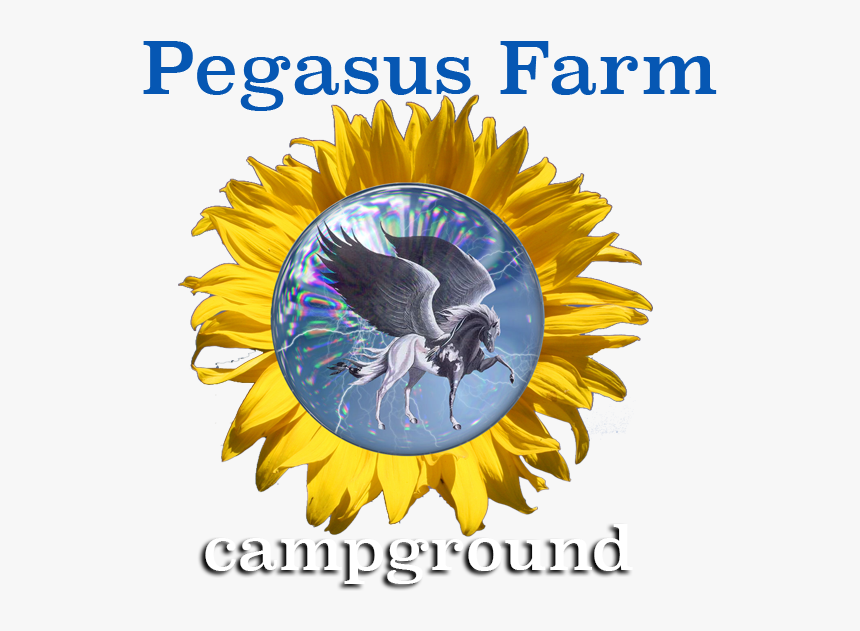 Pegasus Farm Campground, HD Png Download, Free Download