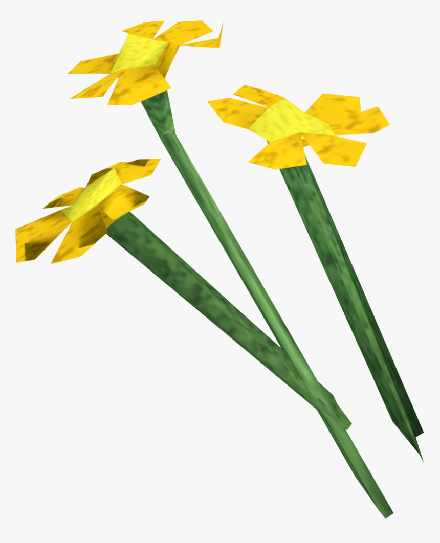 The Runescape Wiki - Narcissus, HD Png Download, Free Download