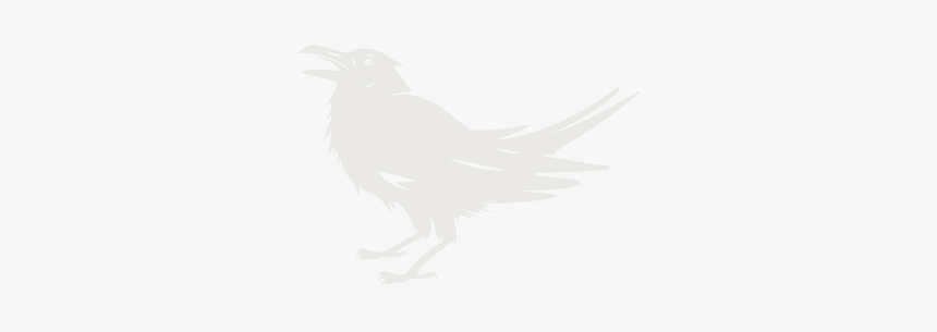 Perching Bird, HD Png Download, Free Download