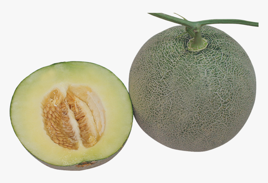 Honeydew , Png Download - Honeydew, Transparent Png, Free Download